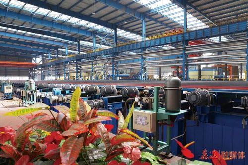 除塵系統(tǒng)升級改造,助力綠色文化工廠建設