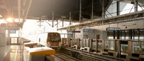 三龍灣南海片區(qū)兩大重點工程吹響新年建設發(fā)展號角